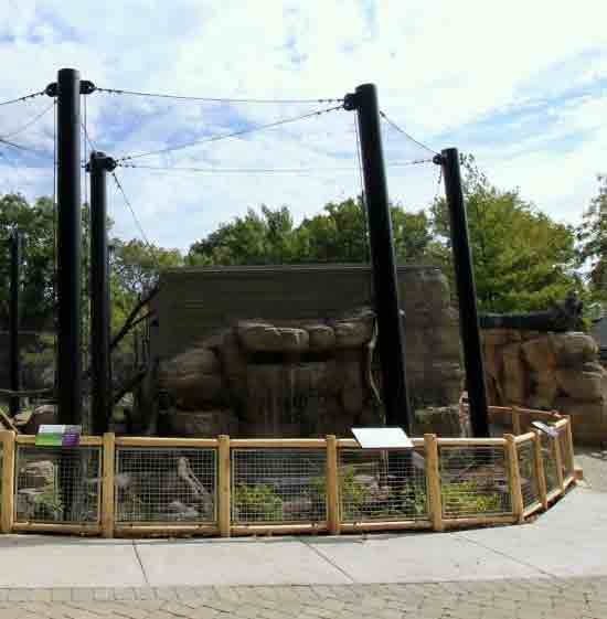 Custom metal zoo and animal enclosure